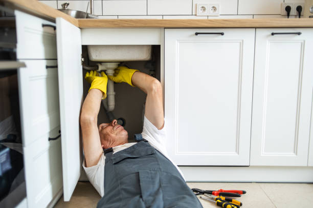 Best Same-Day Plumbing Service  in Hayneville, AL