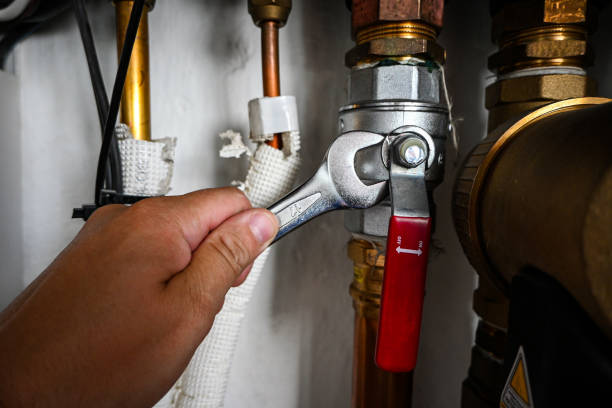 Best Sewer Cleaning Services  in Hayneville, AL